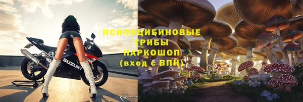 spice Бугульма
