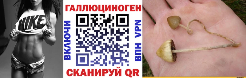 наркота Облучье Галлюциногенные грибы Magic Shrooms